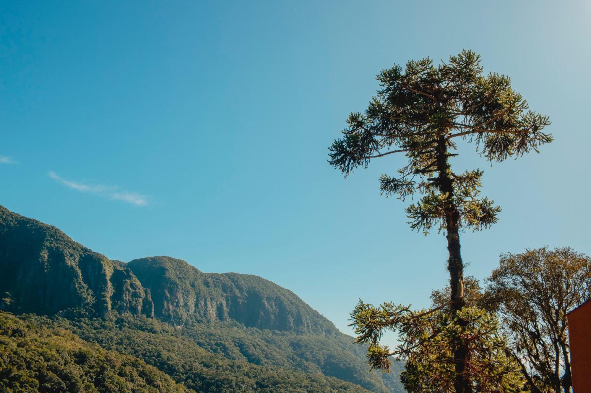 Pousada Bugio Da Serra Novo Horizonte  Exterior foto